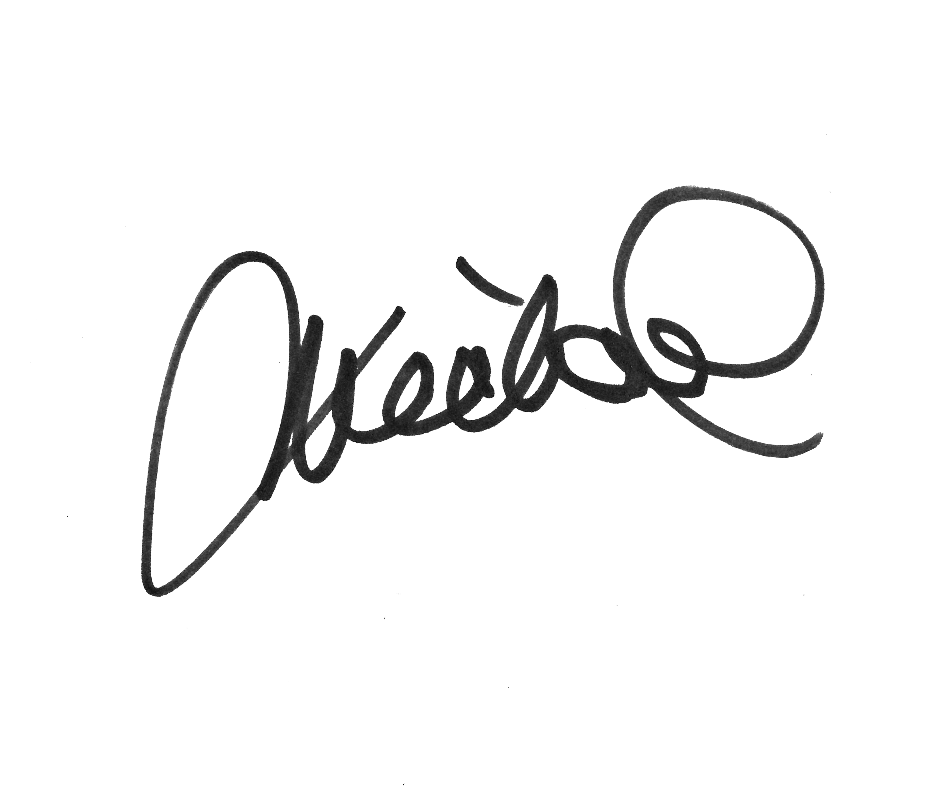 Michael E. Gerber's signature